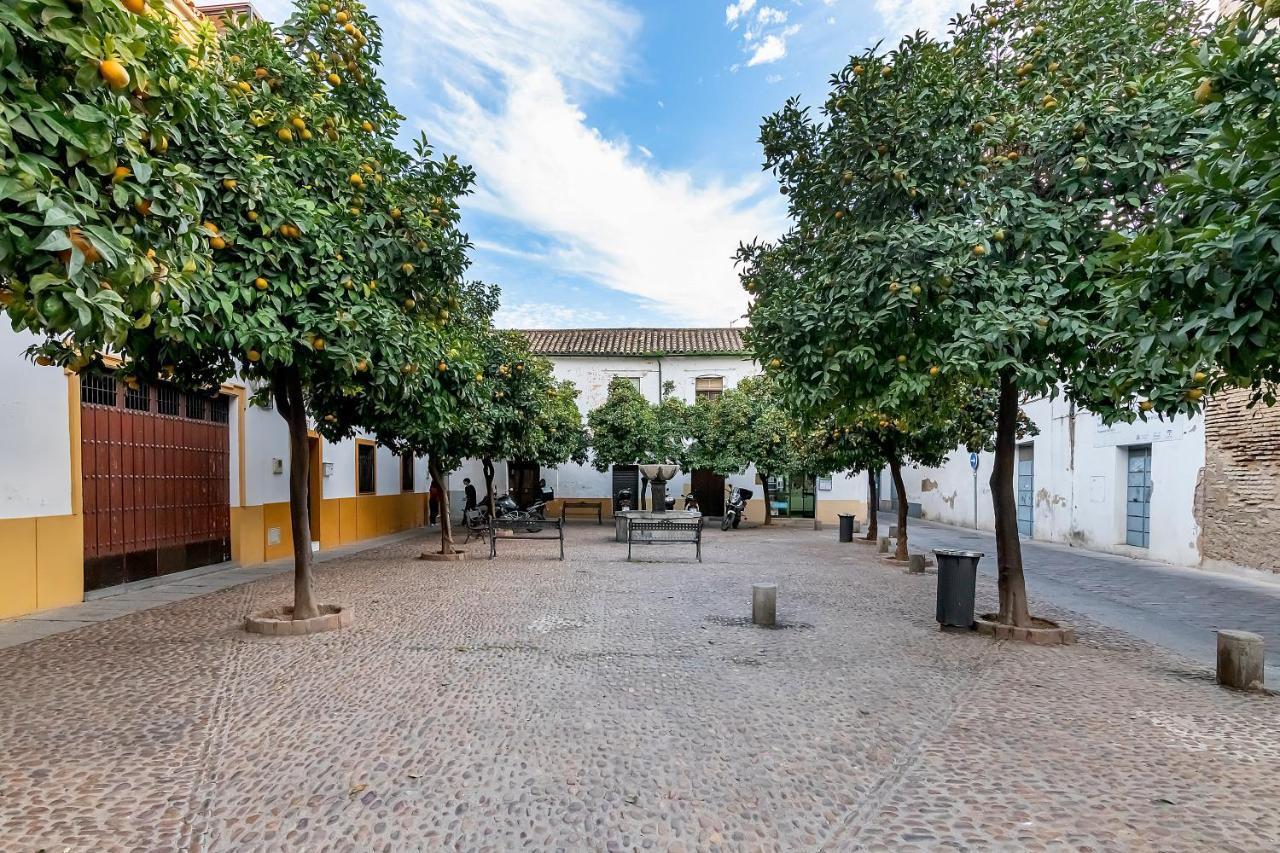Apartmán Bhost - Regina Ll Córdoba Exteriér fotografie